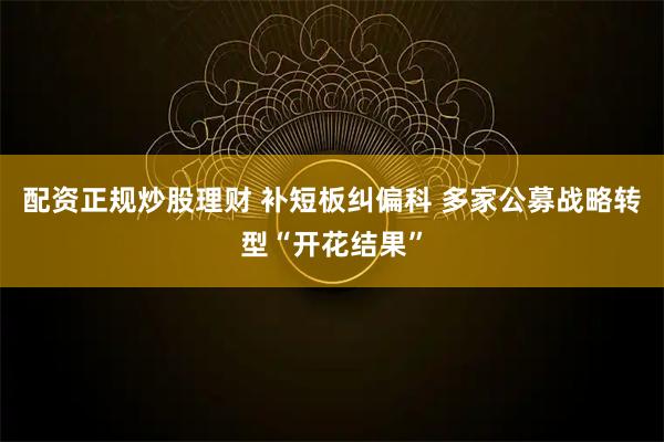 配资正规炒股理财 补短板纠偏科 多家公募战略转型“开花结果”