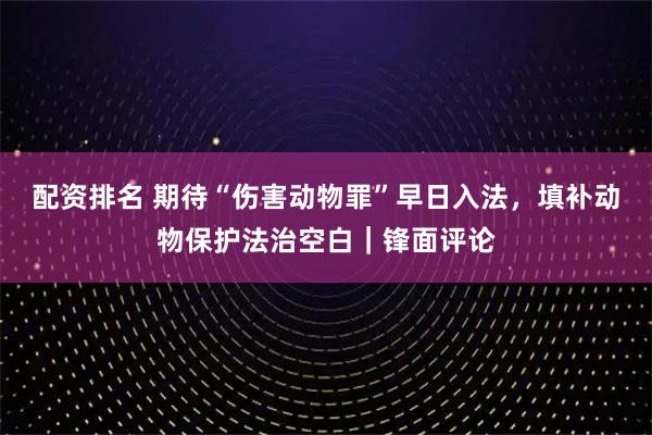 配资排名 期待“伤害动物罪”早日入法，填补动物保护法治空白｜锋面评论